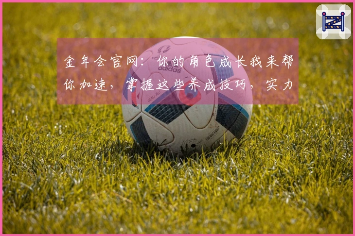 金年会官网：你的角色成长我来帮你加速，掌握这些养成技巧，实力飞升不是梦