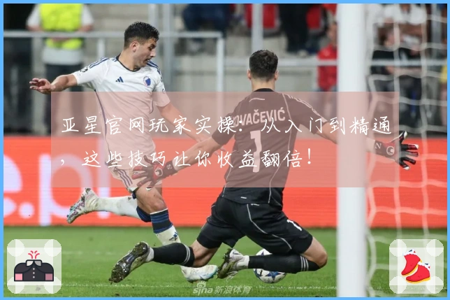 亚星官网玩家实操：从入门到精通，这些技巧让你收益翻倍！