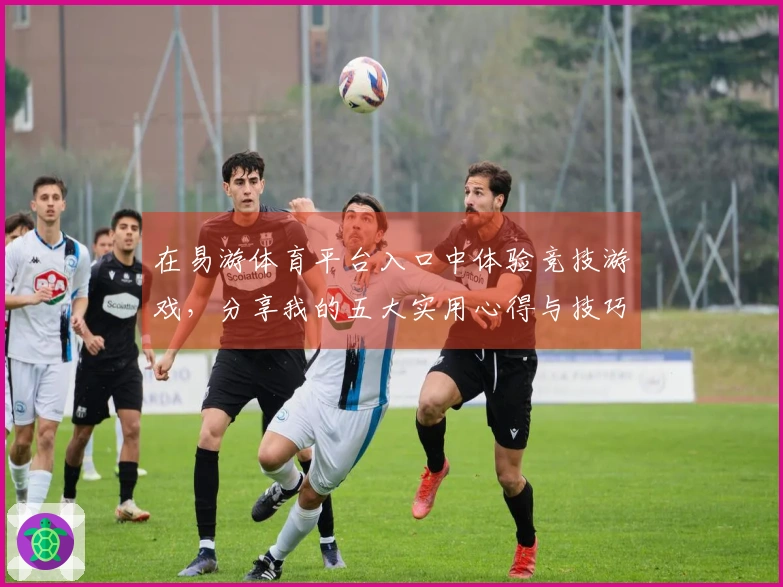 在易游体育平台入口中体验竞技游戏，分享我的五大实用心得与技巧