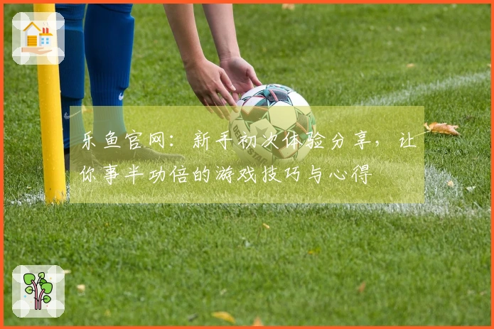 乐鱼官网：新手初次体验分享，让你事半功倍的游戏技巧与心得