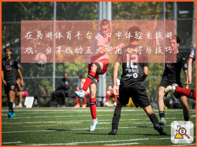 在易游体育平台入口中体验竞技游戏，分享我的五大实用心得与技巧